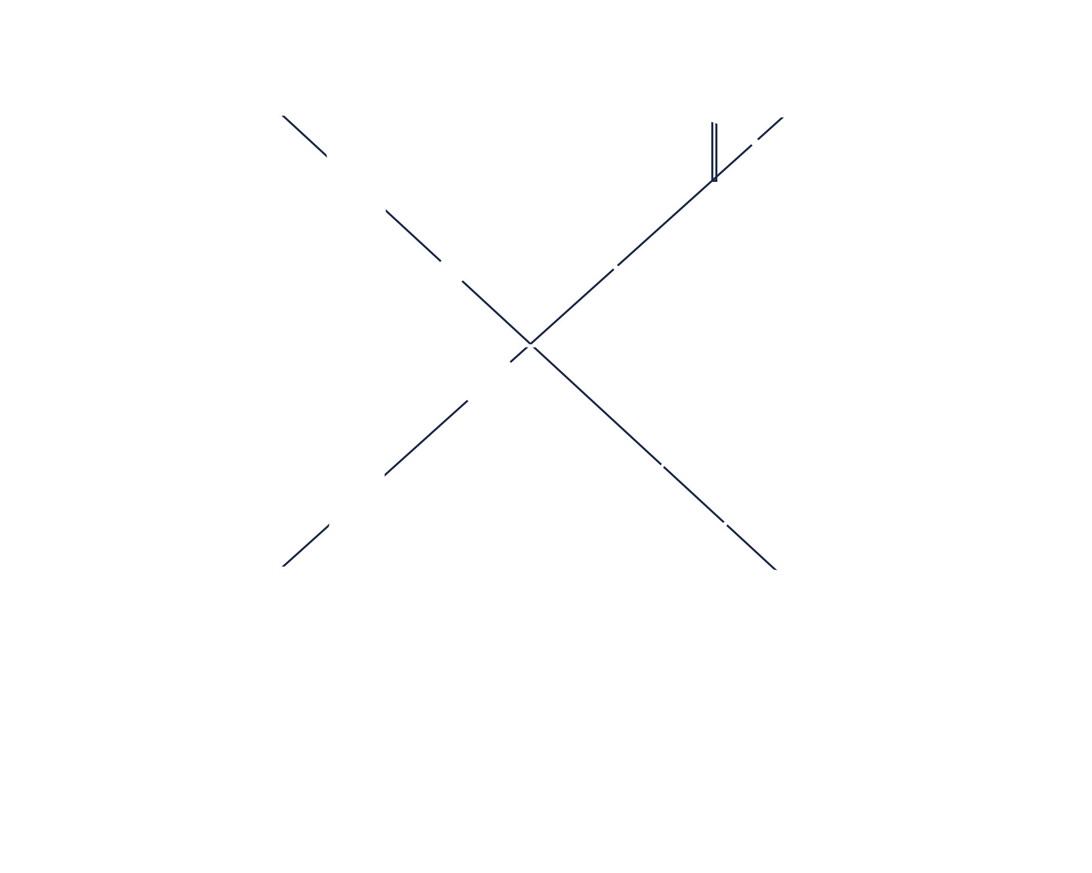 Photography by Kristina Bant 