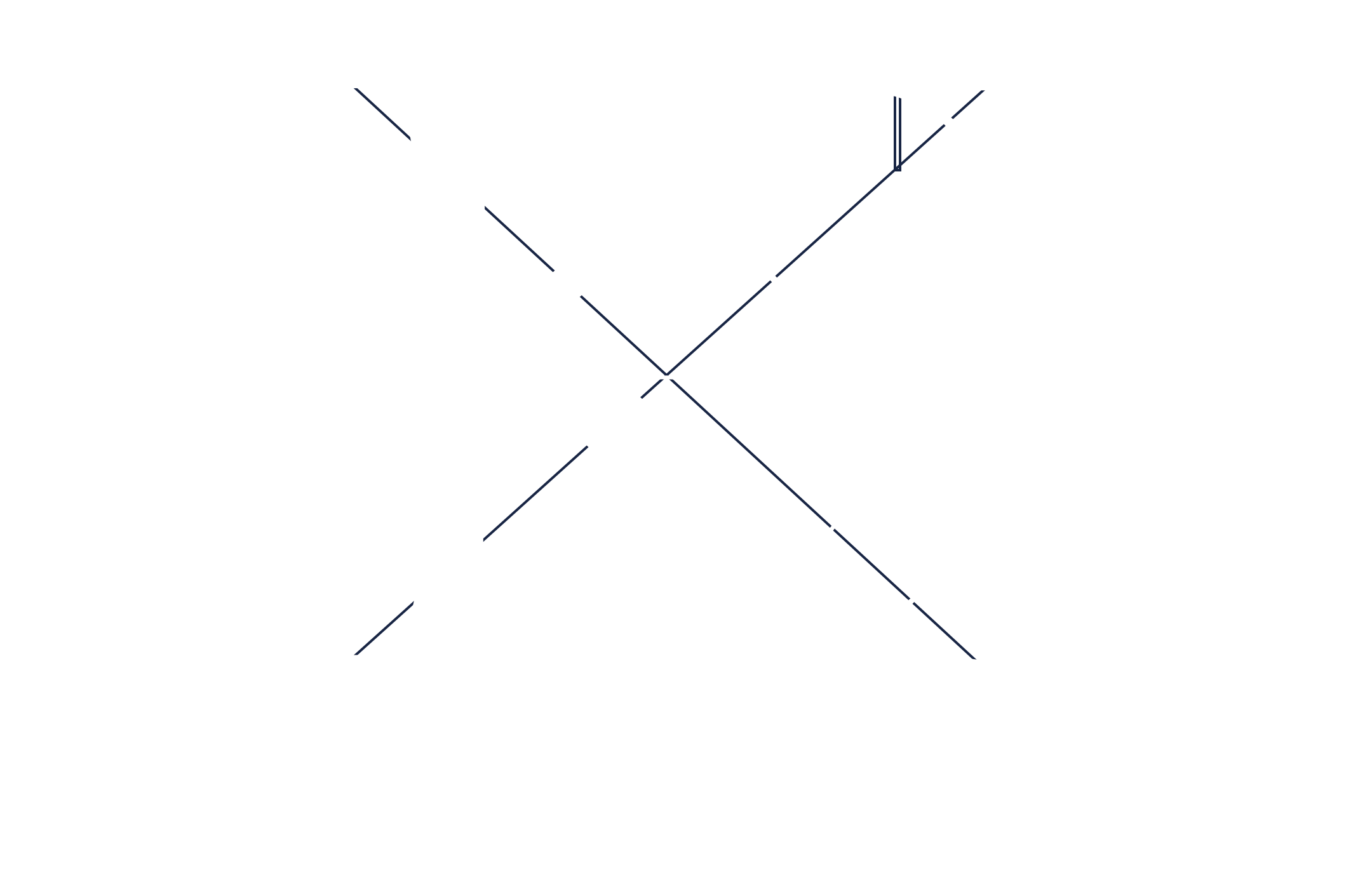 Photography by Kristina Bant 